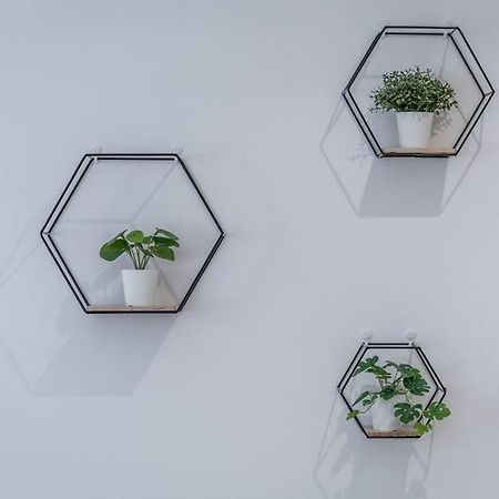 Appartement Sotto Le Due Torri 5* à Bologne Extérieur photo