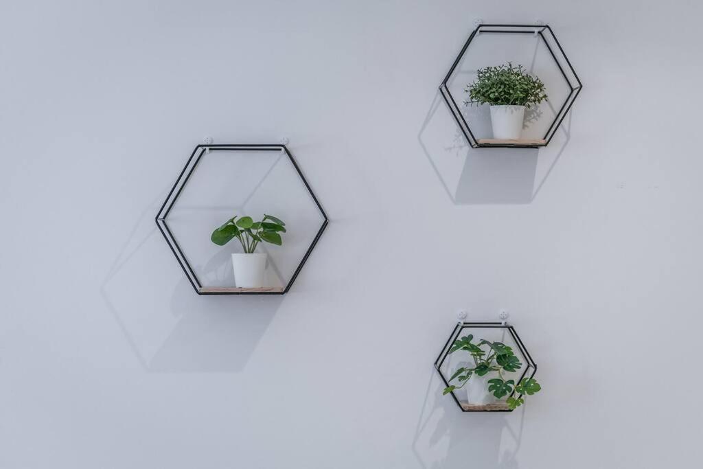 Appartement Sotto Le Due Torri 5* à Bologne Extérieur photo